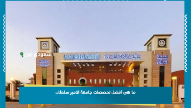 ما هي أفضل تخصصات جامعة الامير سلطان