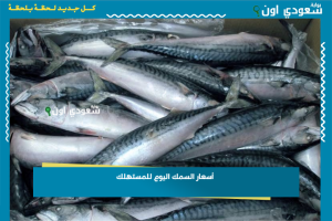 أسعار السمك اليوم للمستهلك