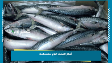 أسعار السمك اليوم للمستهلك