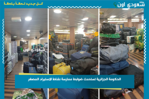 الحكومة الجزائرية تستحدث ضوابط ممارسة نشاط الاستيراد المصغر