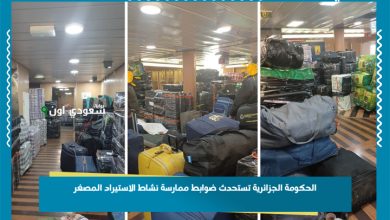 الحكومة الجزائرية تستحدث ضوابط ممارسة نشاط الاستيراد المصغر