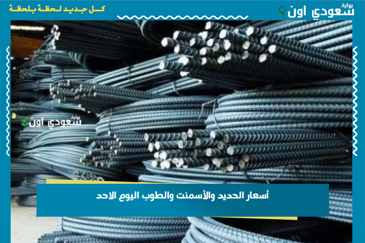 مواد البناء اليوم: الحديد يتأرجح والأسمنت مستقر.. أسعار الحديد والأسمنت والطوب اليوم الاحد 22-6-2025