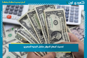 تحديث أسعار الدولار مقابل الجنيه المصري