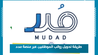 طريقة تحويل رواتب الموظفين عبر منصة مدد