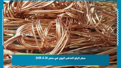 سعر كيلو النحاس اليوم في مصر 30-6-2025