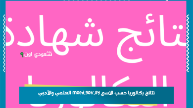 نتائج بكالوريا حسب الاسم moed.gov.sy العلمي والأدبي