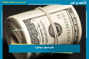 بكام الدولار دلوقتي؟