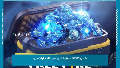 اشحن 10000 جوهرة فري فاير بالخطوات دي
