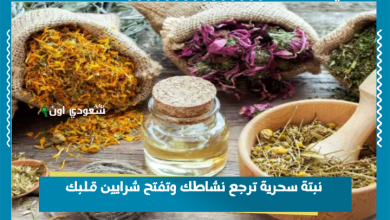 نبتة سحرية ترجع نشاطك وتفتح شرايين قلبك