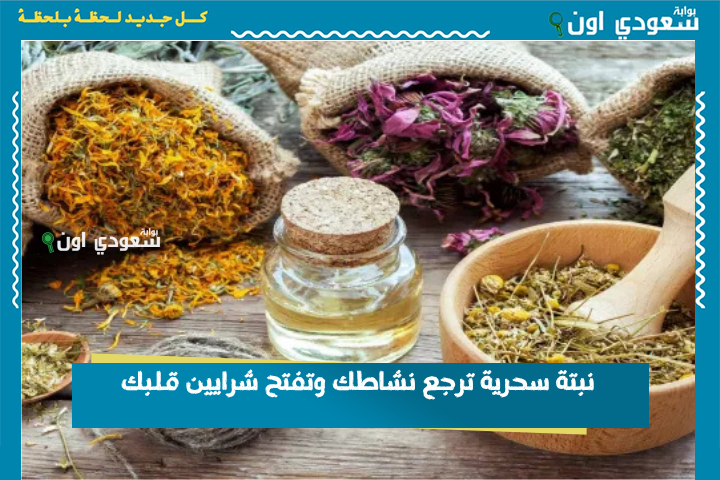الدكاترة مش مصدقين الي بيحصل! نبتة سحرية ترجع نشاطك وتفتح شرايين قلبك وتنسيك التعب من أول كوباية