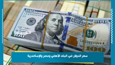 سعر الدولار في البنك الأهلي ومصر والإسكندرية