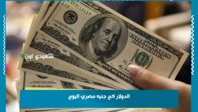 الدولار كم جنيه مصري اليوم