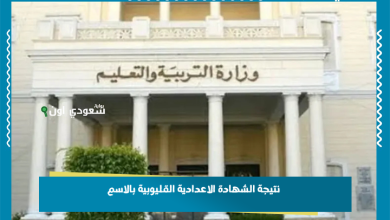 نتيجة الشهادة الاعدادية القليوبية بالاسم