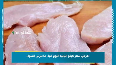 اعرفي سعر كيلو البانيه اليوم قبل ما تنزلي السوق