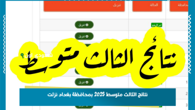 نتائج الثالث متوسط 2025 بمحافظة بغداد نزلت
