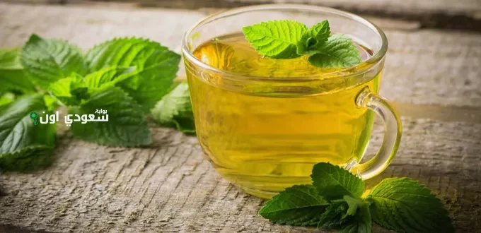 ما تتخيليش لمعة شعرك بعد ما تغسليه بالشاي الأخضر والنعناع.. هتحسيه بيتنفس من جديد