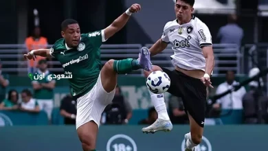 المباراة بين فريق بالميراس وبوتافوجو بالتعادل السلبي
