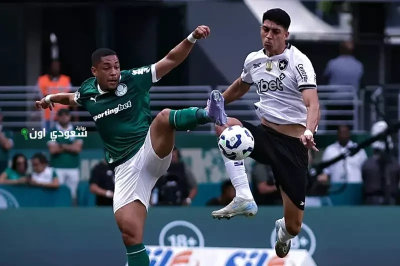 تغطية لمباراة بالميراس وبوتافوجو في دور الـ 16 من كأس العالم للأندية 2025