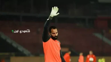 محمود جنش