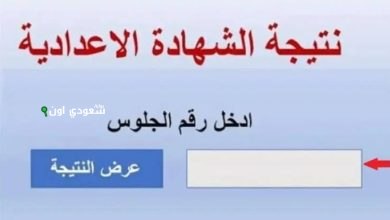 مديرية التربية والتعليم بمحافظة الغربية تعتمد تنسيق الصف الأول الثانوي