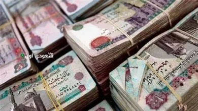 معاش شهري لربات البيوت