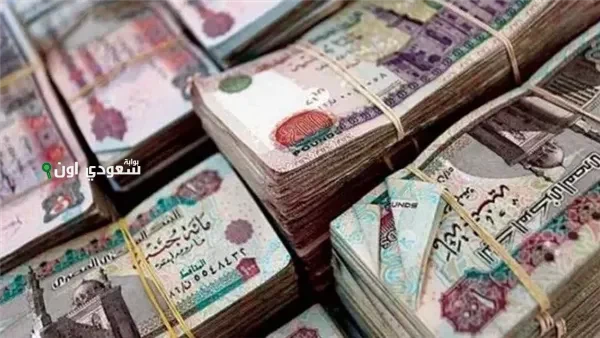 معاش شهري لربات البيوت! مبادرة حكومية جديدة هذه شروطها وقيمة الاشتراك فيها