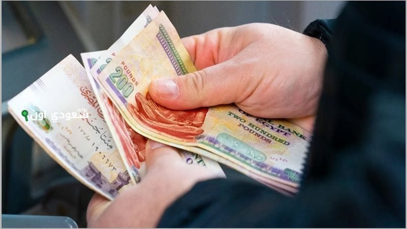 معاش شهري من التأمينات الاجتماعية للسيدات غير العاملات في مصر