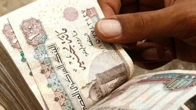 معاش نقابة المعلمين 2025 ازاي تستعلم عن مستحقاتك