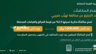الإبلاغ عن المخالفات الضريبية