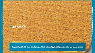 مكون بسيط من بيتك هيرجع للفرش والسجاد ألوانه منورة وكأنك لسة شارياهم النهاردة