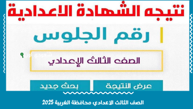 الصف الثالث الاعدادي محافظة الغربية 2025 نتيجة الشهادة الإعدادية