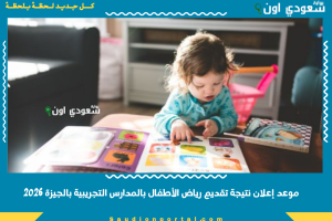 موعد إعلان نتيجة تقديم رياض الأطفال بالمدارس التجريبية بالجيزة 2026
