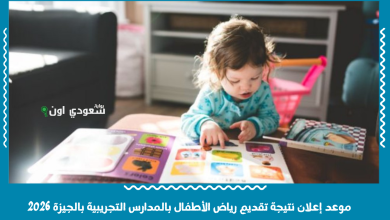 موعد إعلان نتيجة تقديم رياض الأطفال بالمدارس التجريبية بالجيزة 2026