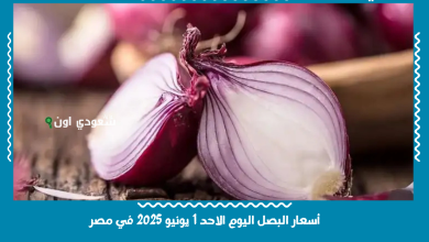 أسعار البصل اليوم الاحد 1 يونيو 2025 في مصر