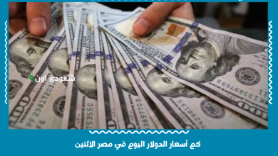 كم أسعار الدولار اليوم في مصر الاثنين