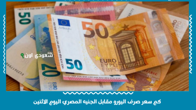 كم سعر صرف اليورو مقابل الجنيه المصري اليوم الاثنين
