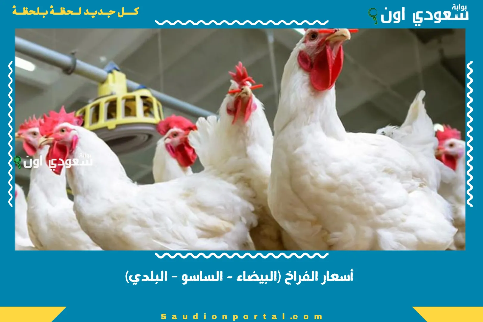 أسعار الفراخ (البيضاء - الساسو – البلدي)