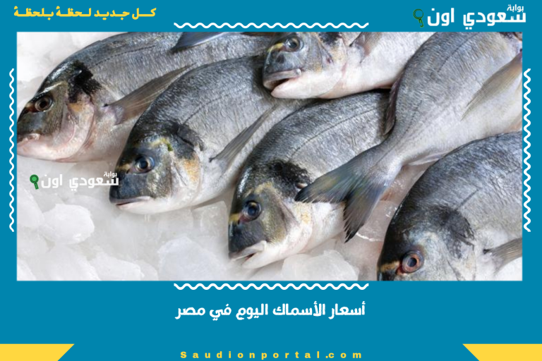 أسعار الأسماك اليوم في مصر