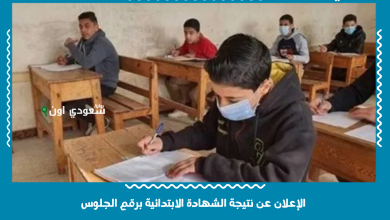 الإعلان عن نتيجة الشهادة الابتدائية برقم الجلوس