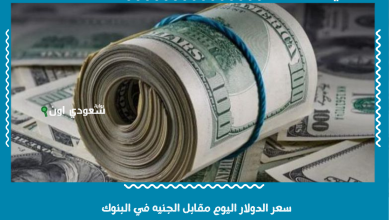 سعر الدولار اليوم مقابل الجنيه في البنوك