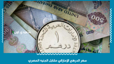 سعر الدرهم الإماراتي مقابل الجنيه المصري