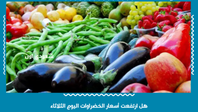 هل ارتفعت أسعار الخضراوات اليوم الثلاثاء