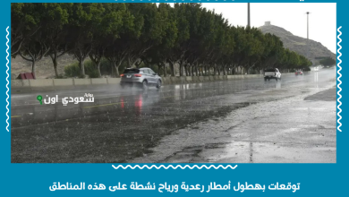 توقعات بهطول أمطار رعدية ورياح نشطة على هذه المناطق