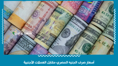 أسعار صرف الجنيه المصري مقابل العملات الأجنبية
