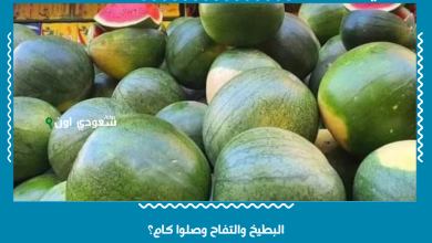 البطيخ والتفاح وصلوا كام؟