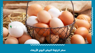 سعر كرتونة البيض اليوم الأربعاء