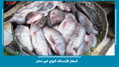 أسعار الأسماك اليوم في مصر