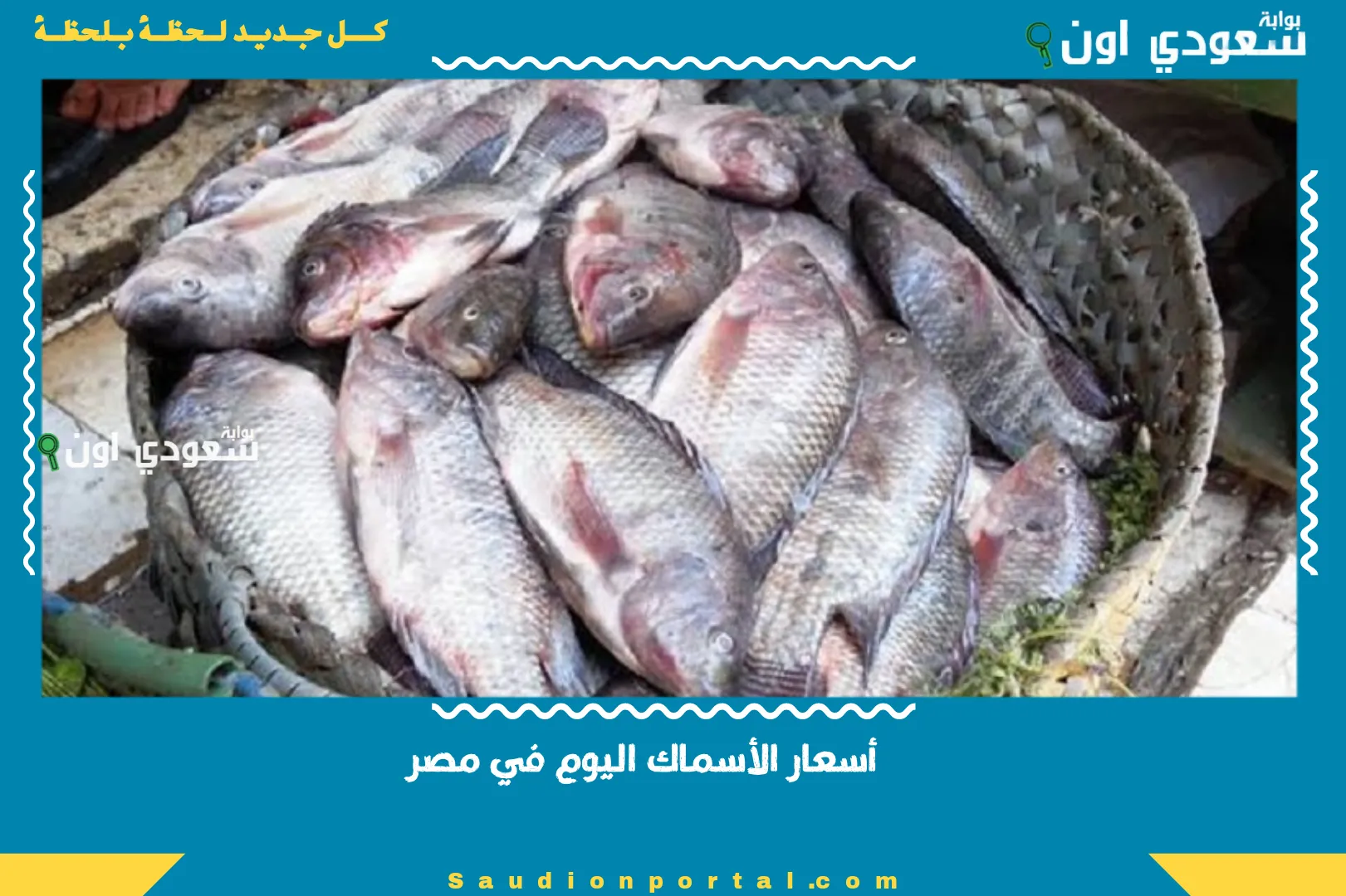 أسعار الأسماك اليوم في مصر