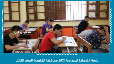 نتيجة الشهادة الاعدادية 2025 محافظة القليوبية الصف الثالث