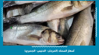 أسعار السمك (المرجان– الدنيس– الجمبري)